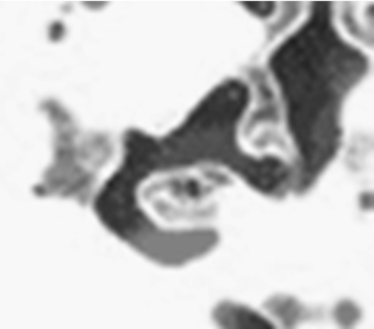 Hiroyoshi Fukamachi Art